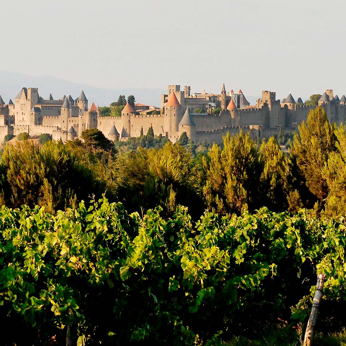 La cité de Carcassonne