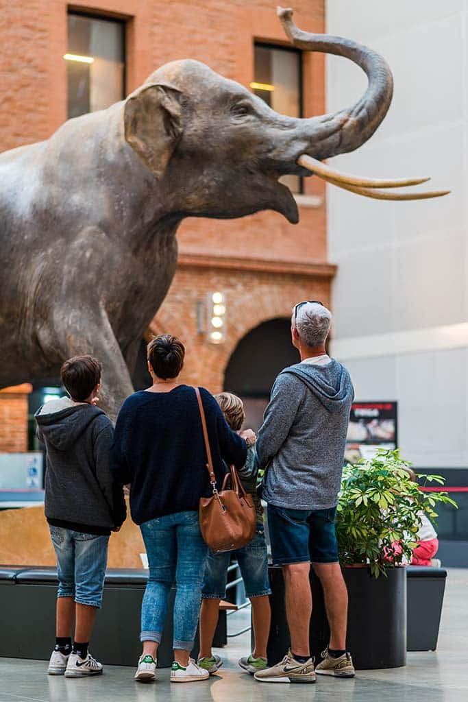 Visiter Toulouse, le Muséum