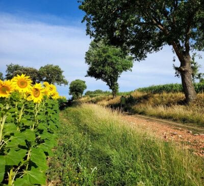 Balades et randonnées dans Toulouse Métropole, la commune de Mons