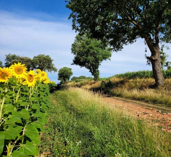 Balades et randonnées dans Toulouse Métropole, la commune de Mons