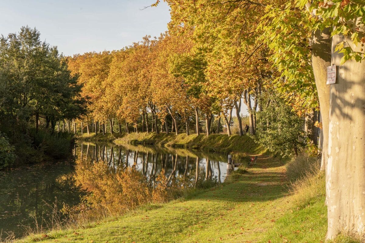 Toulouse, le canal du Midi