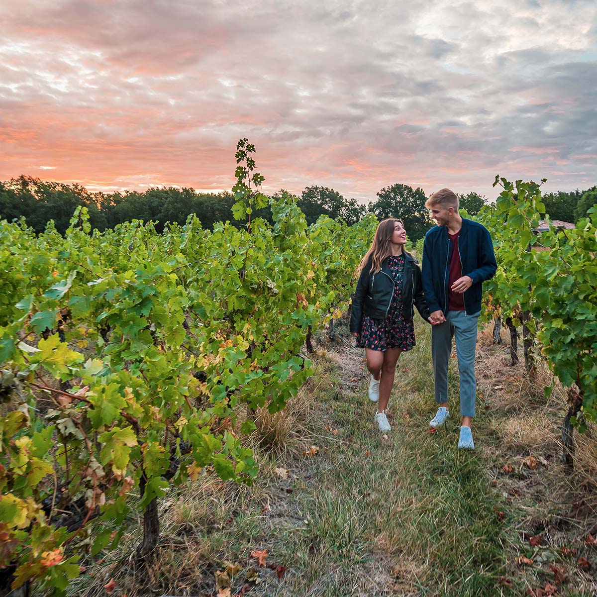 Le vignoble de Fronton à côté de Toulouse