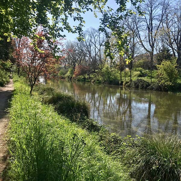 Le bassin des filtres aux Amidonniers