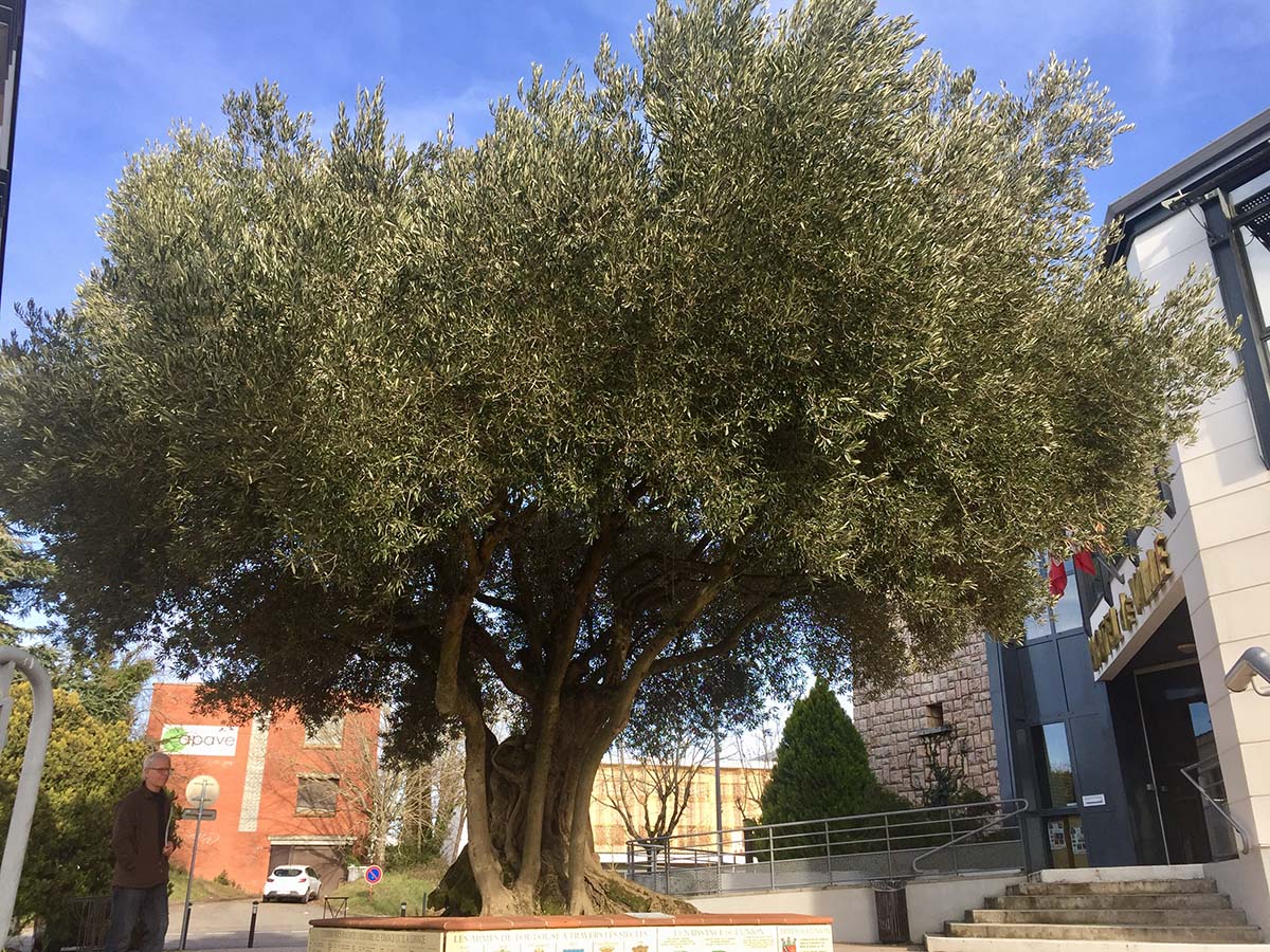 Cap sur la métropole L'Union