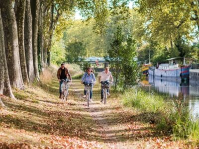 Vélo le long du canal du Midi