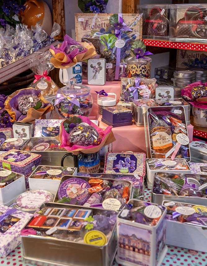 La violette de Toulouse