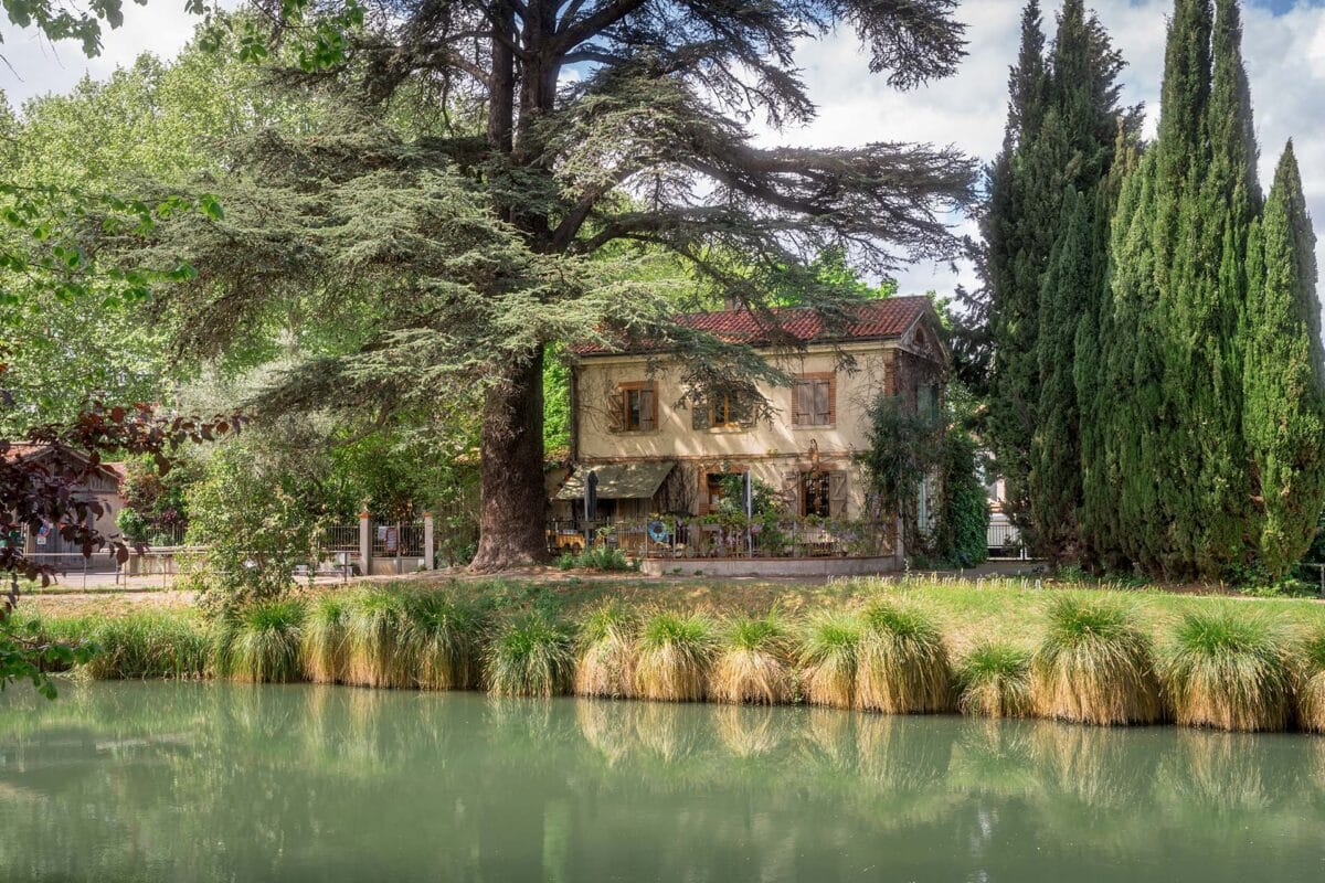 Guinguette le Gros Arbres