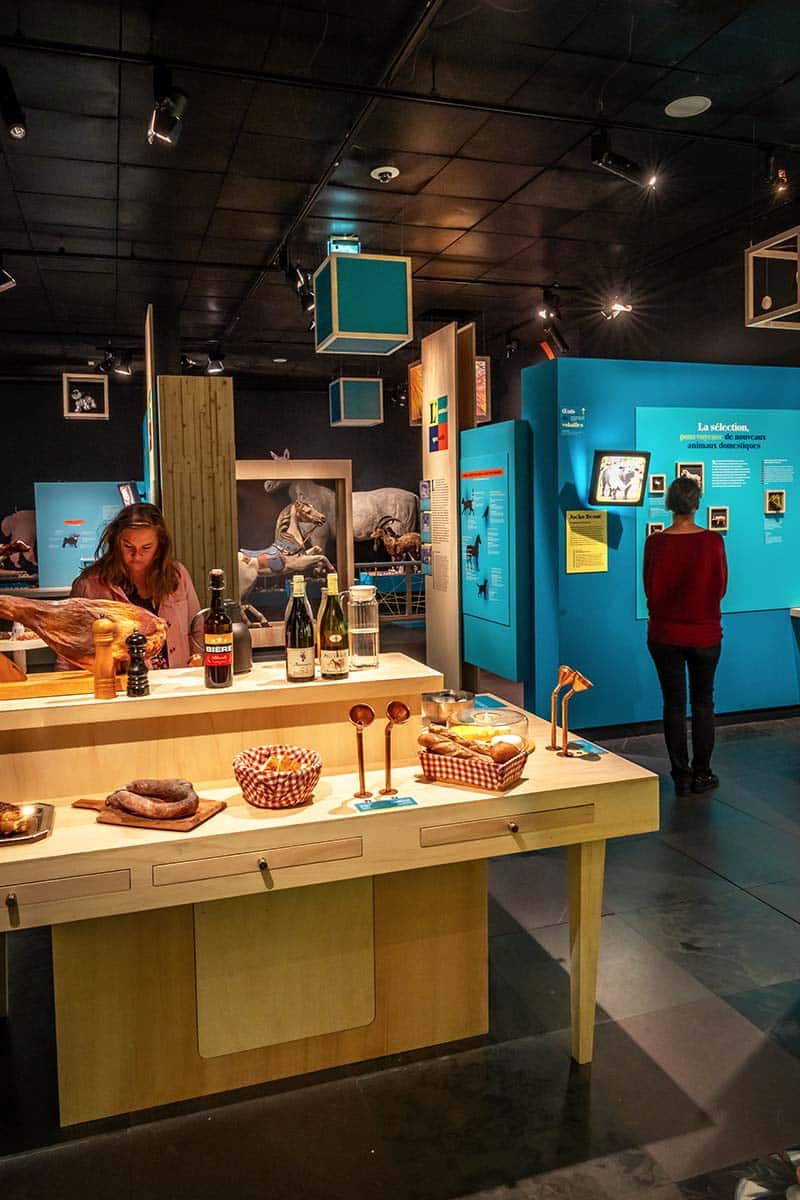 Exposition Domestique-moi si tu peux !