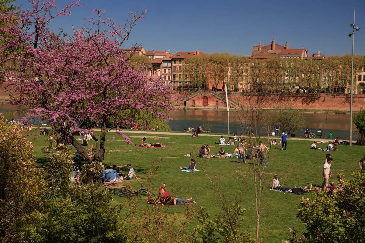 Prairie des filtres, bords de Garonne