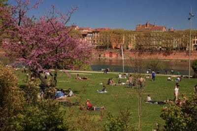Prairie des filtres, bords de Garonne